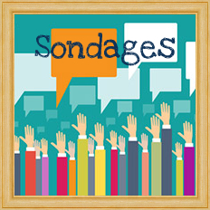 Sondages